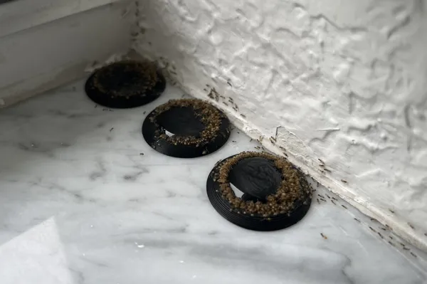https://makerworld.bblmw.com/makerworld/model/US95bcb2a024ea0b/design/2023-09-30_erm2bvyecjep.jpeg