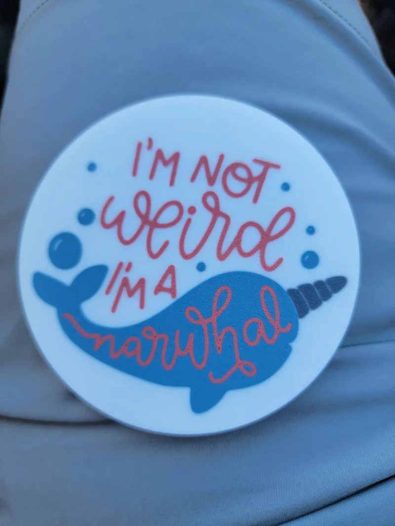 Narwhal Coaster