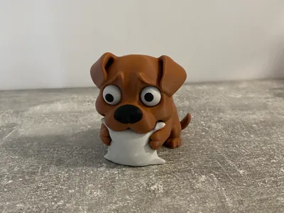 Scared cute little Dog