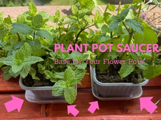 Plant Pot Saucer