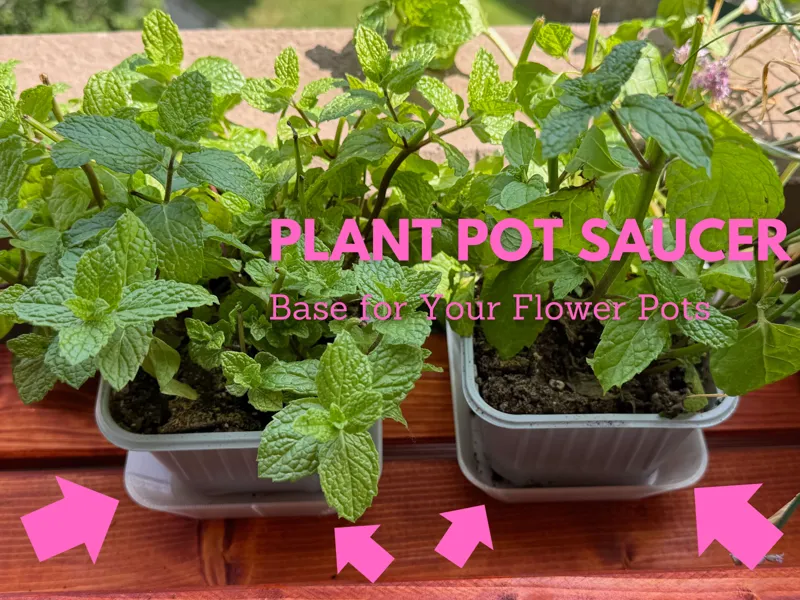 Plant Pot Saucer