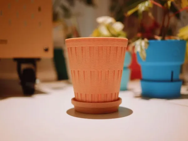 https://makerworld.bblmw.com/makerworld/model/US95c9f8c52b7b8e/design/80348ed60c77d157.jpg