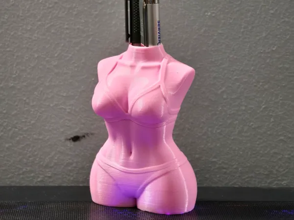 https://makerworld.bblmw.com/makerworld/model/US95cb12f15cf5b6/design/2026-01-17_60ea1ead28438.jpg