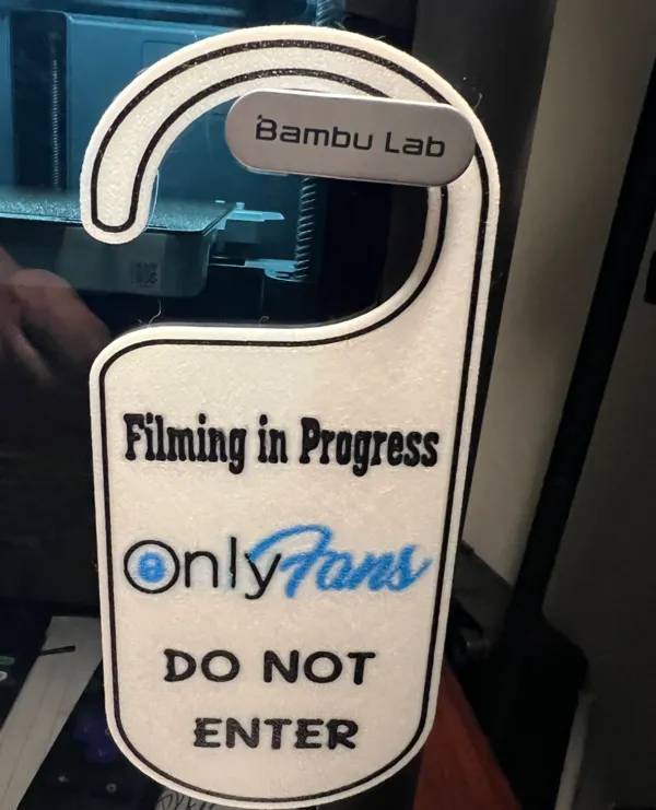 https://makerworld.bblmw.com/makerworld/model/US95cc473653b5c0/design/2024-07-09_0e362eb81c74f.jpg