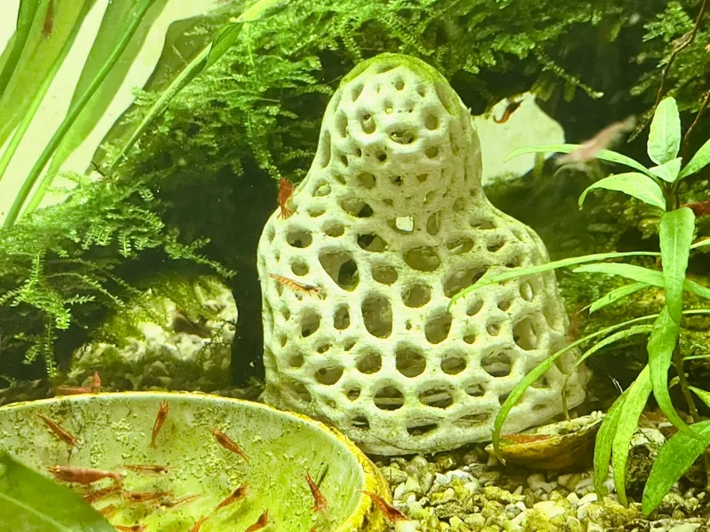 Another Fish hide - easy, fast and small