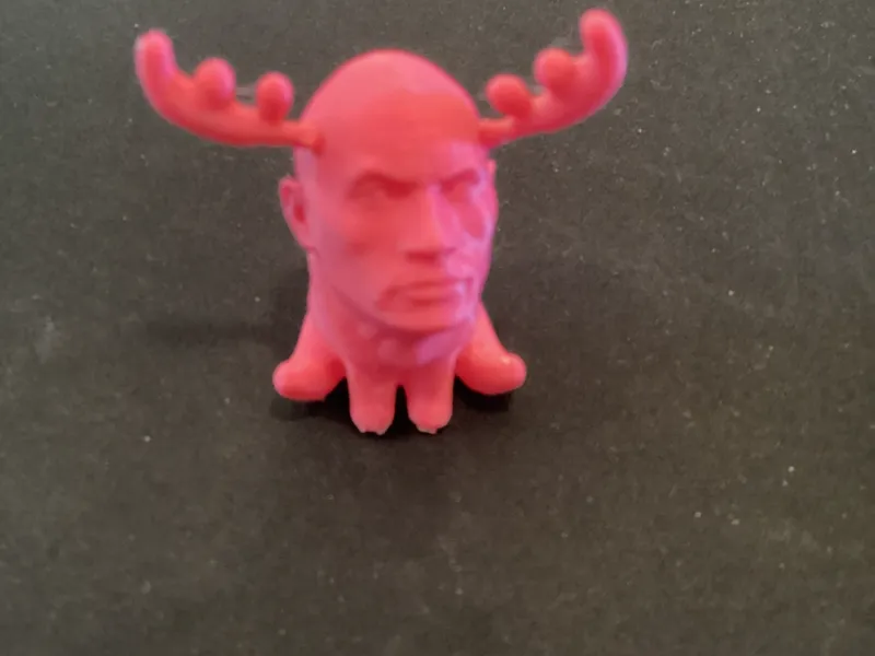 rockmoose