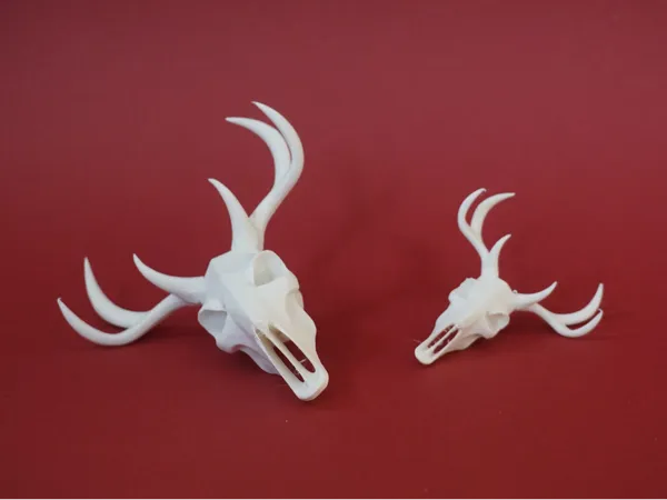 https://makerworld.bblmw.com/makerworld/model/US95d9350cca8a64/design/2025-01-04_3a4cf9ae12d9f8.jpg