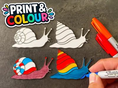 Cute Snail Colouring Set