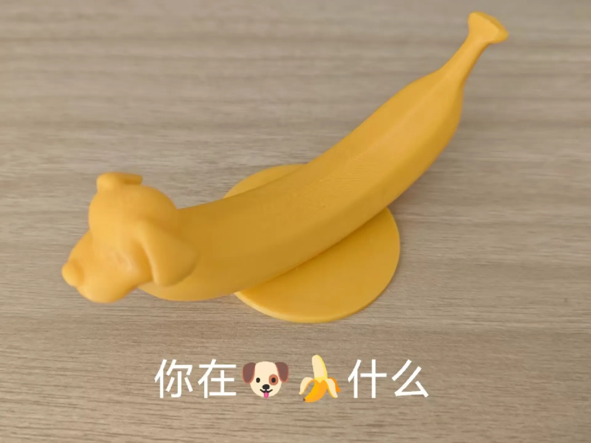 你在狗蕉什么?-多版本