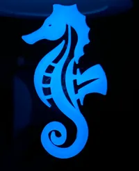 Hippocampes lumineux phosphorescents — photo 4