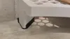 TPU cap/feet
