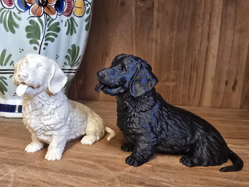 Cute Wirehaired Dachshund - easy print - 18 gram