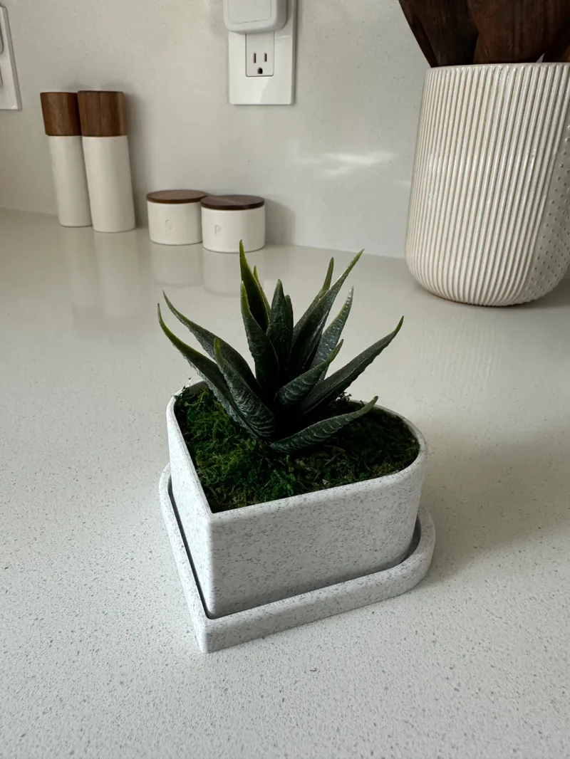 Heart Plant Pot