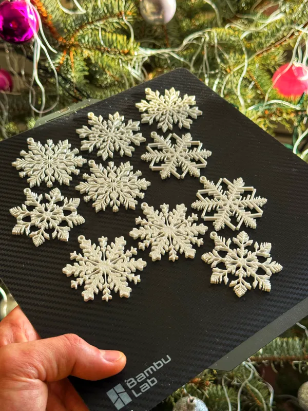 https://makerworld.bblmw.com/makerworld/model/US95e4f102c81d4b/design/2024-12-21_9010980f1b694.png