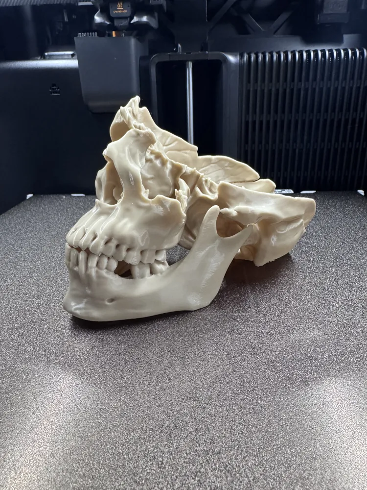 Machity Machete Wound Skull - Free 3D Print Model - MakerWorld