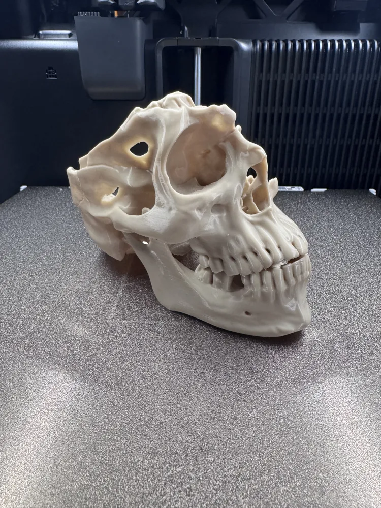 Machity Machete Wound Skull - Free 3D Print Model - MakerWorld