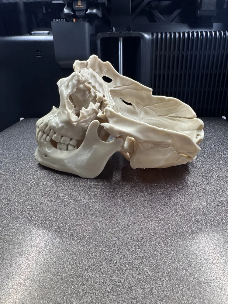 Machity Machete Wound Skull - Free 3D Print Model - MakerWorld