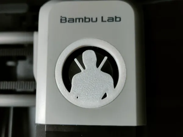 https://makerworld.bblmw.com/makerworld/model/US95ea42d7a80743/design/2025-01-26_6e81a846dbea1.jpg