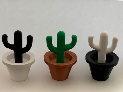 Cactus in a Pot