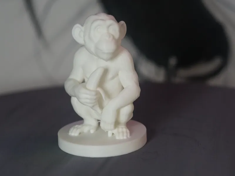 monkey 