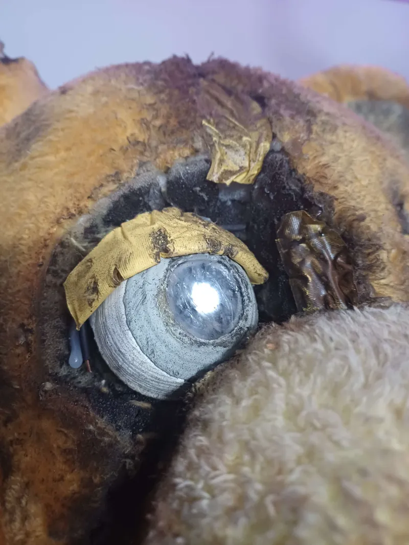 "The Yellow Rabbit" eye