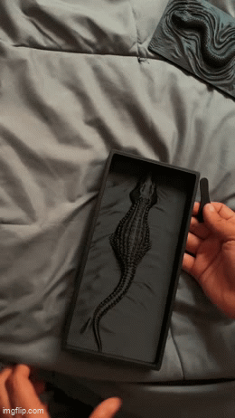 Miniatura 2 do modelo 3D Alligator Catch Tray