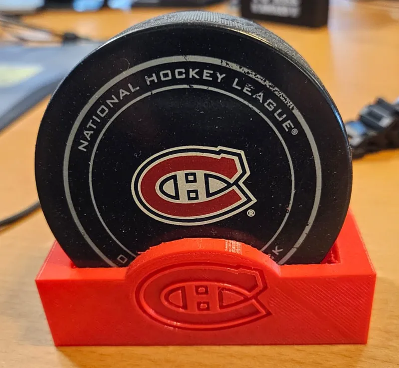 NHL Team Logo Hockey Puck Display NHL Atlantic Div