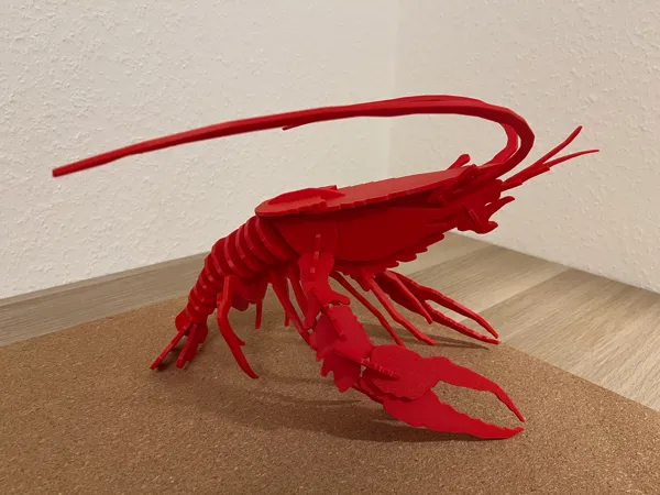 https://makerworld.bblmw.com/makerworld/model/US95fb11d31501f5/design/2025-01-28_39b18865c24488.jpg