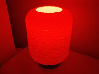 Organic Glow Lamp