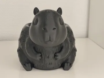 Organizador: Capybara Desk Organizer — vista de referencia 3