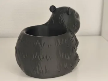Organizador: Capybara Desk Organizer — vista de referencia 5