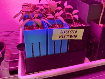 Seed starting root trainer kit