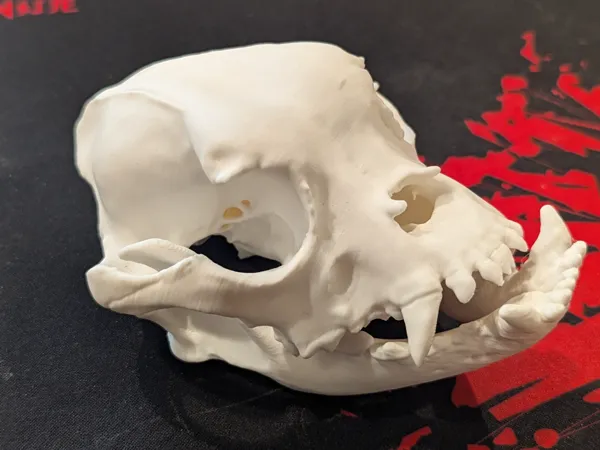 https://makerworld.bblmw.com/makerworld/model/US961f2d86363173/design/2024-11-21_ca4a78cdc3c2b.jpg