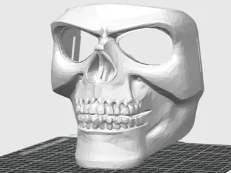 Skull mask 