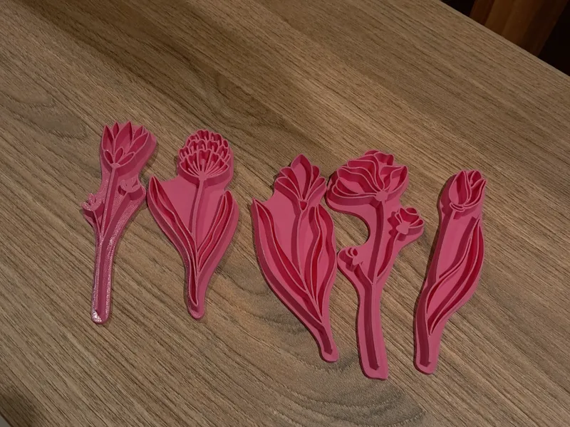 SET-10 Colección Flores Silvestres