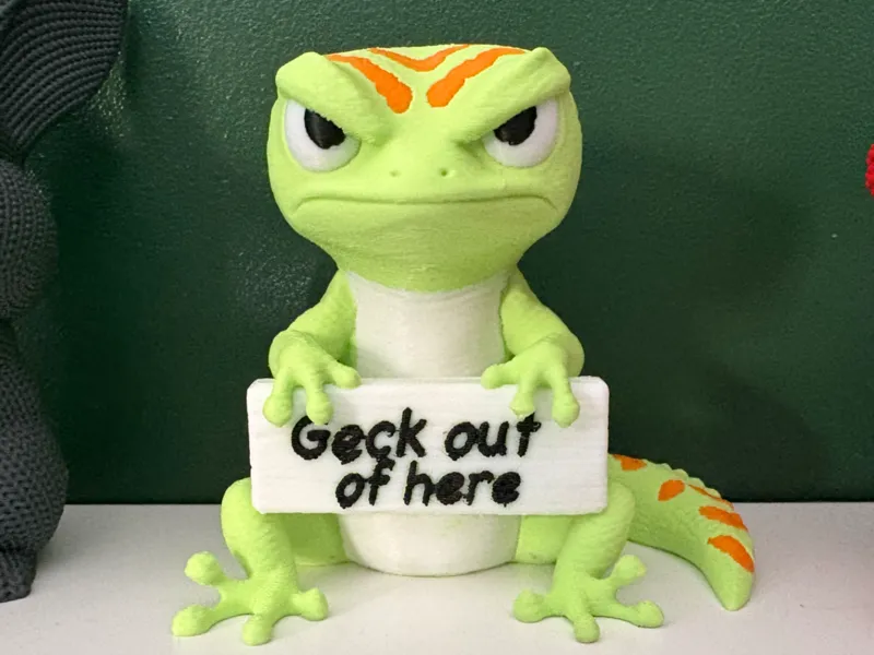 Cute but Grumpy Gecko