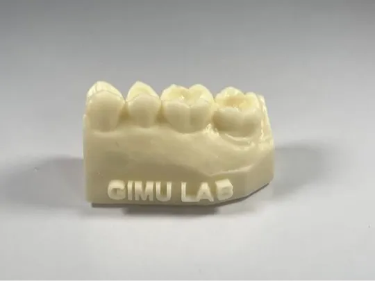 https://makerworld.bblmw.com/makerworld/model/US962cee45bd46bb/design/2024-07-28_782d5cd25fa17.jpeg