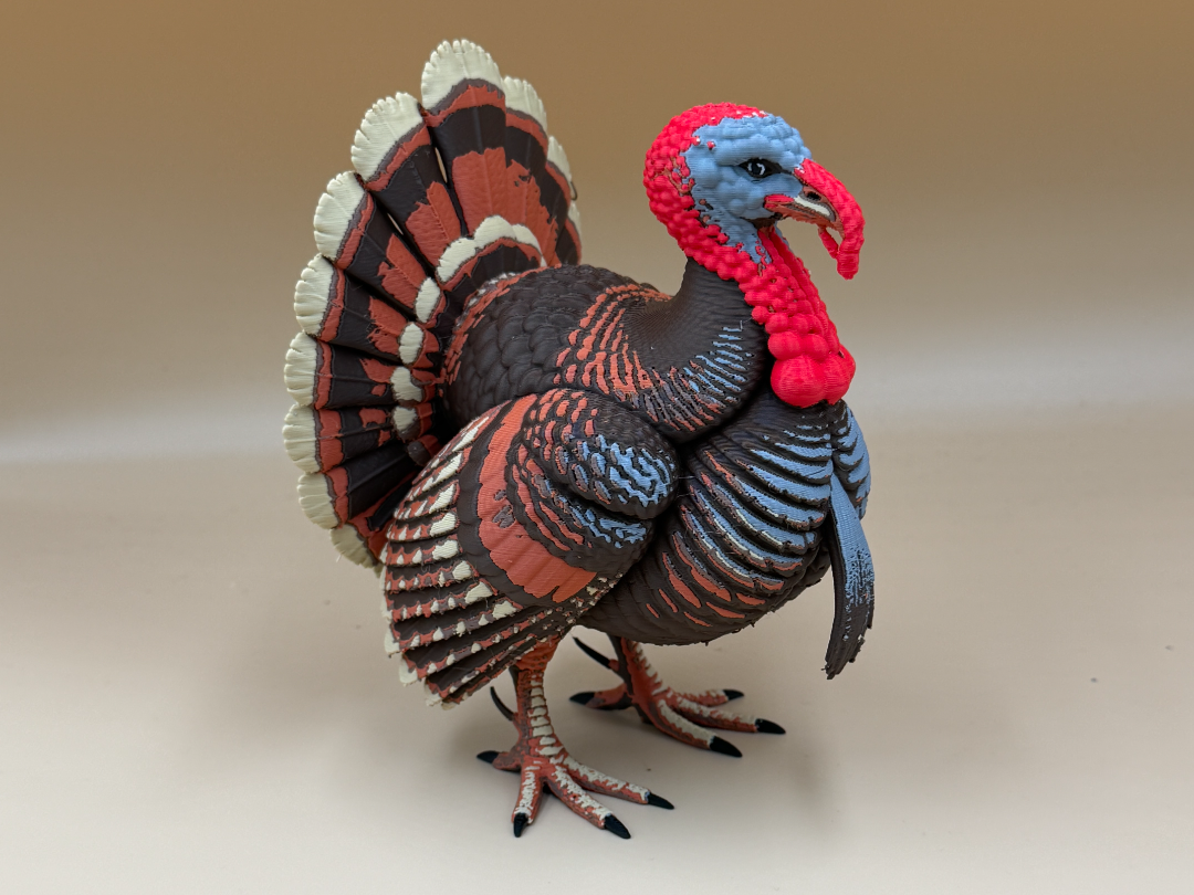 Tom the Terrific Turkey - 1