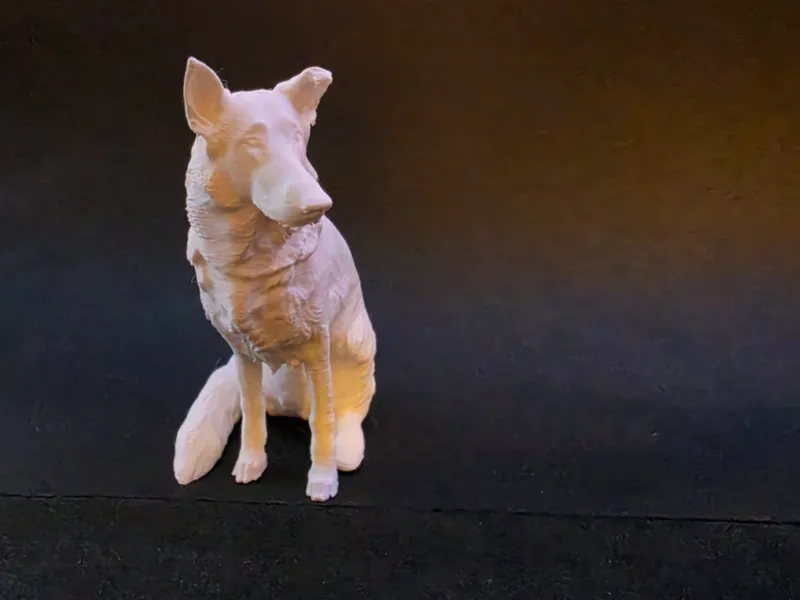 German Shepherd 1