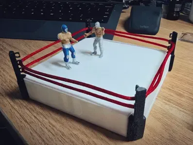 https://makerworld.bblmw.com/makerworld/model/US9634edfce01249/design/2025-05-20_b4b0382cb5cff8.webp