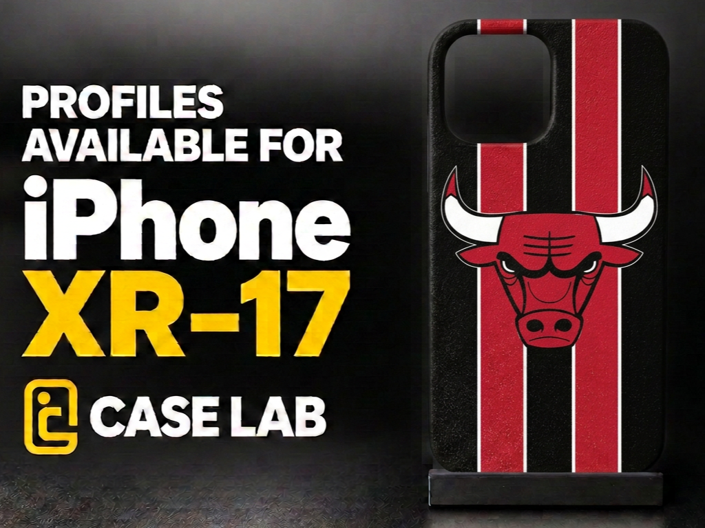 Chicago Bulls iPhone Case - for iPhones XR - 17 3D model