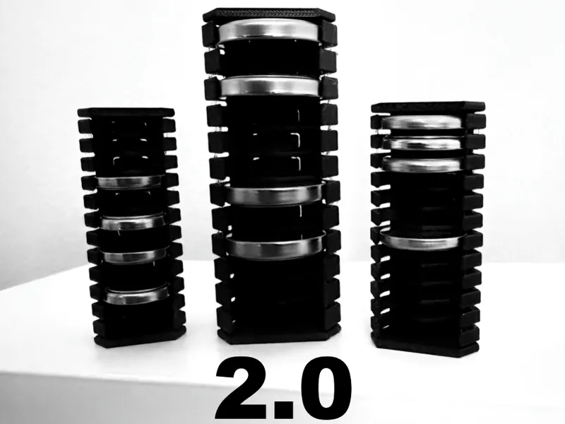 Coin/Button Battery Organizer Holder Case