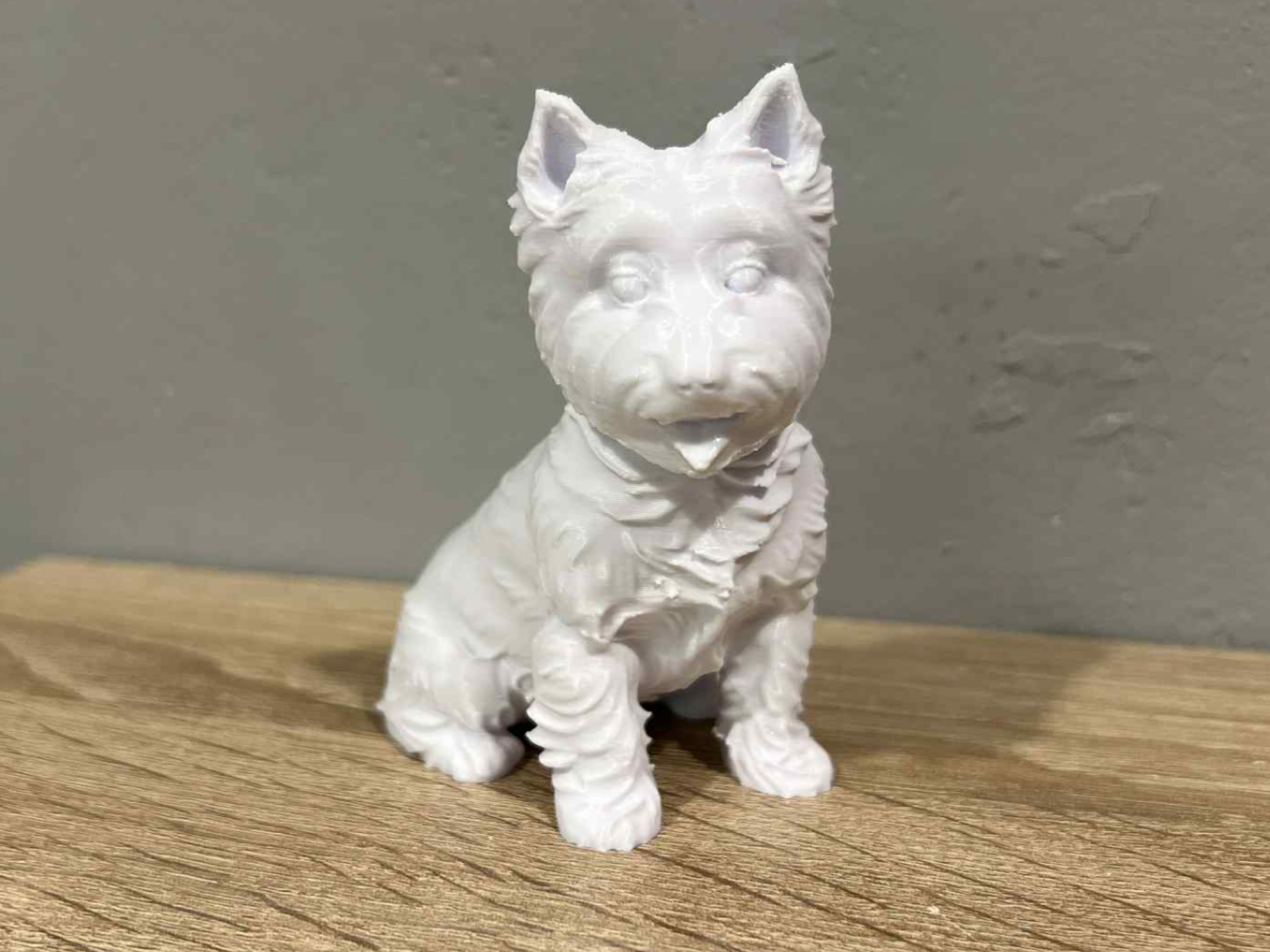 Sitting West Highland White Terrier - Animal - Dog