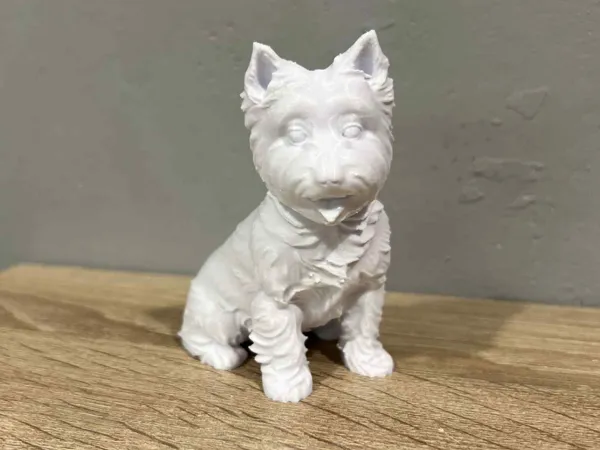 https://makerworld.bblmw.com/makerworld/model/US96440cc0ed6c20/design/156e043958ac9b43.jpg