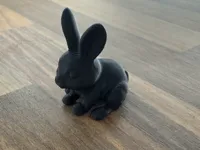Petit lapin fin de bobine — photo 2