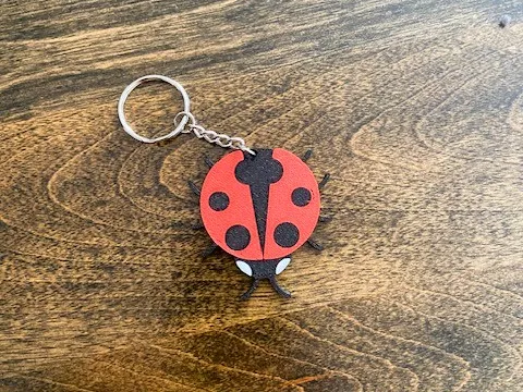 A cute ladybug keychain