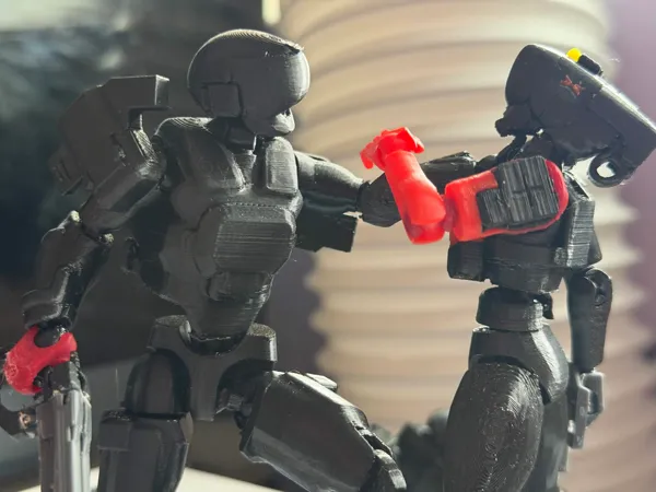 https://makerworld.bblmw.com/makerworld/model/US964897b2e38bbe/design/777e3b23d584d789.jpg