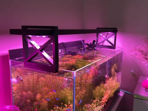 https://makerworld.bblmw.com/makerworld/model/US9653fa3d54c82e/design/2025-05-15_79730da31a5b8.jpg