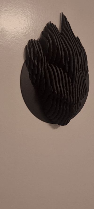 https://makerworld.bblmw.com/makerworld/model/US96546c18838216/design/2025-02-18_0d3e46f99e473.gif
