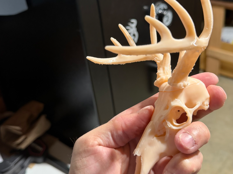 Deer Euro & Antlers with Connectors